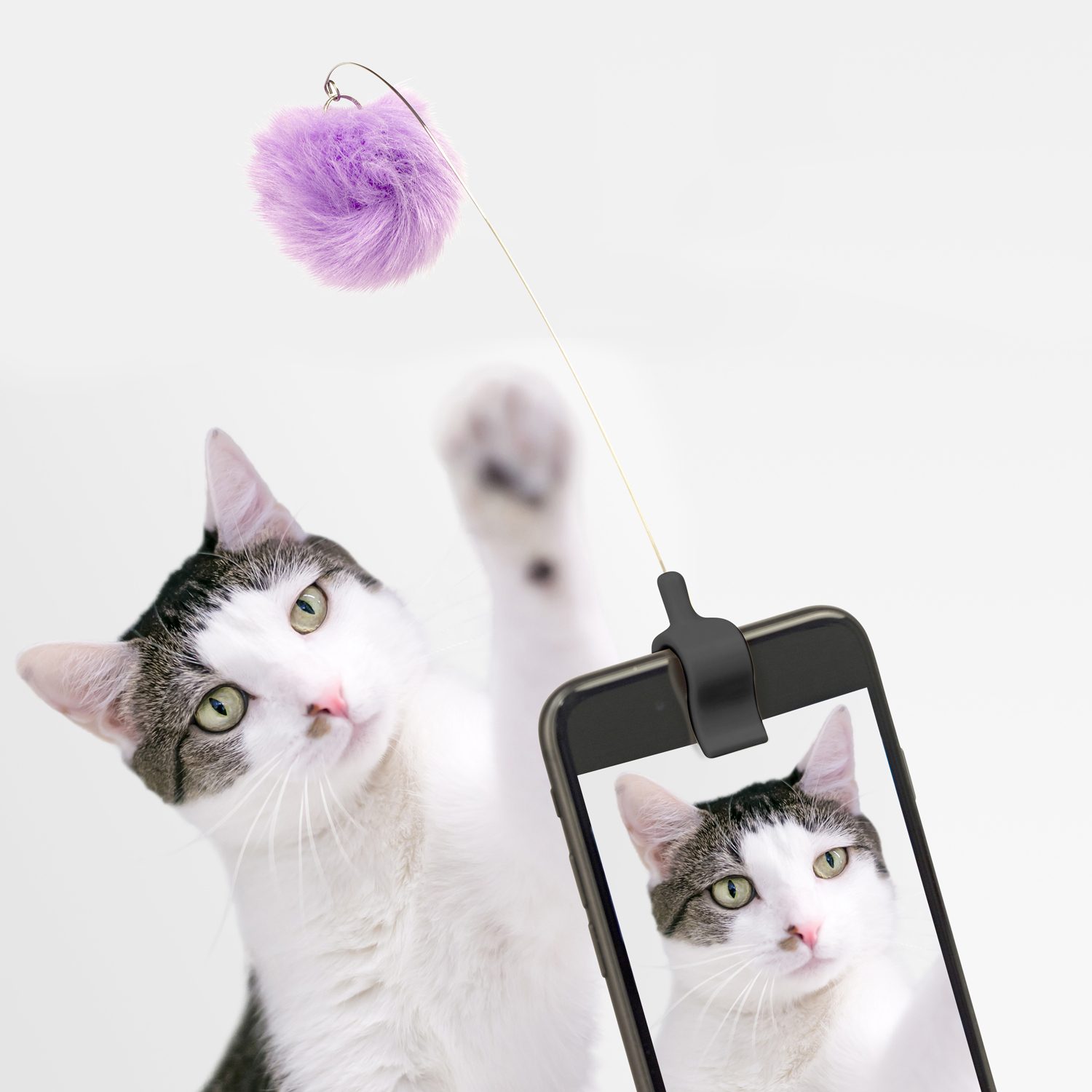 Kitty Phone Clip - Kikkerland