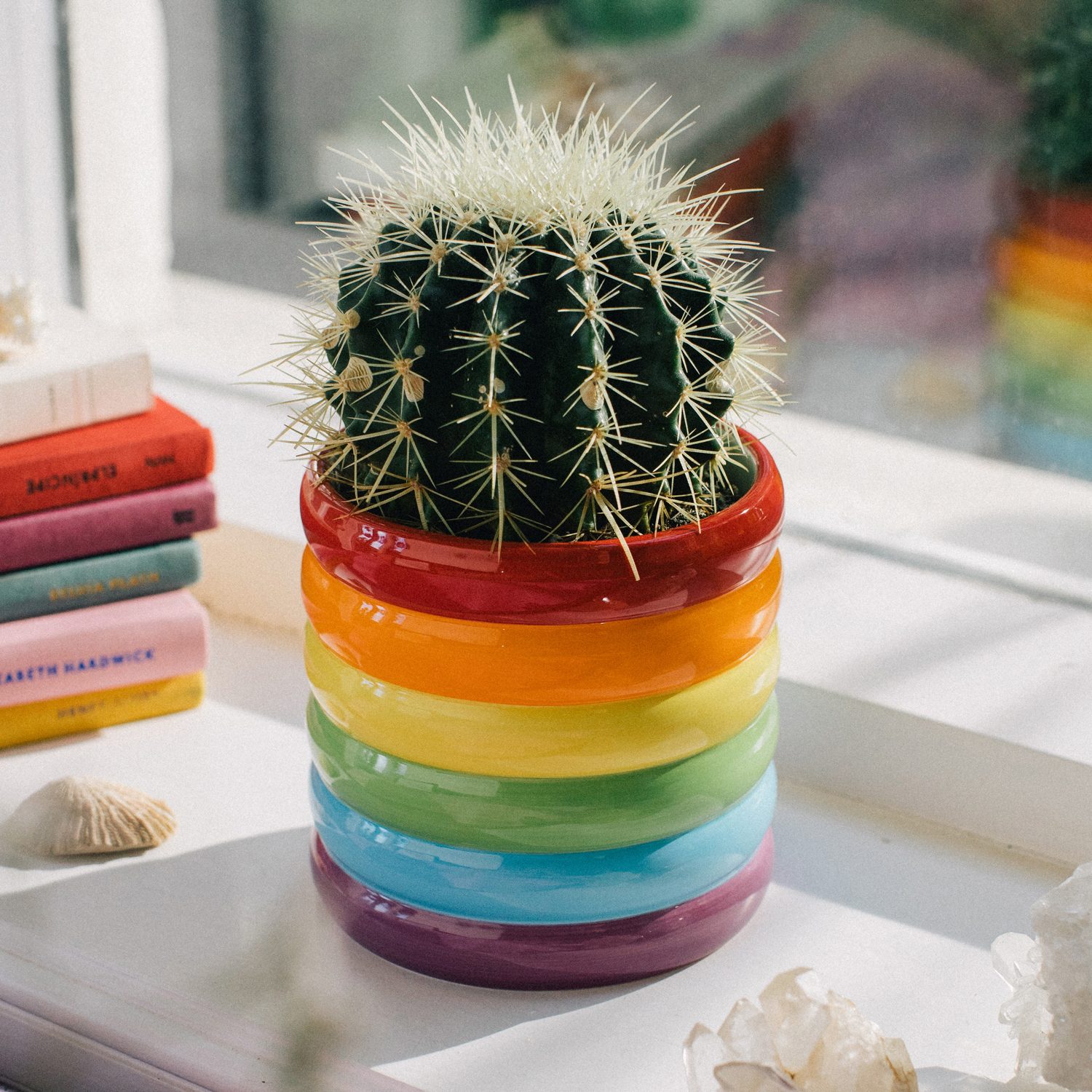 Regenboog Bloempot - DOIY