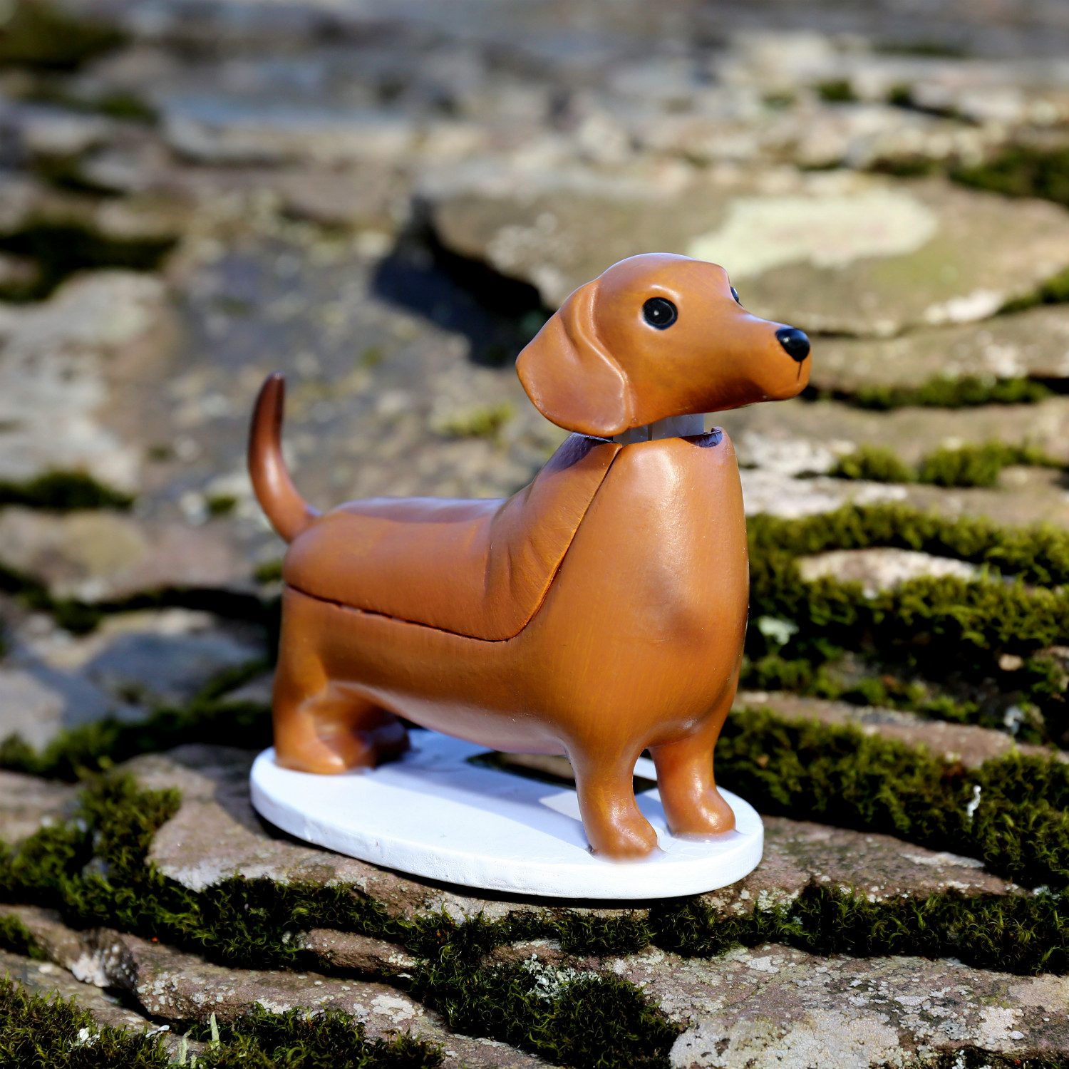 Hondje Op Zonne-Energie - Teckel - Kikkerland