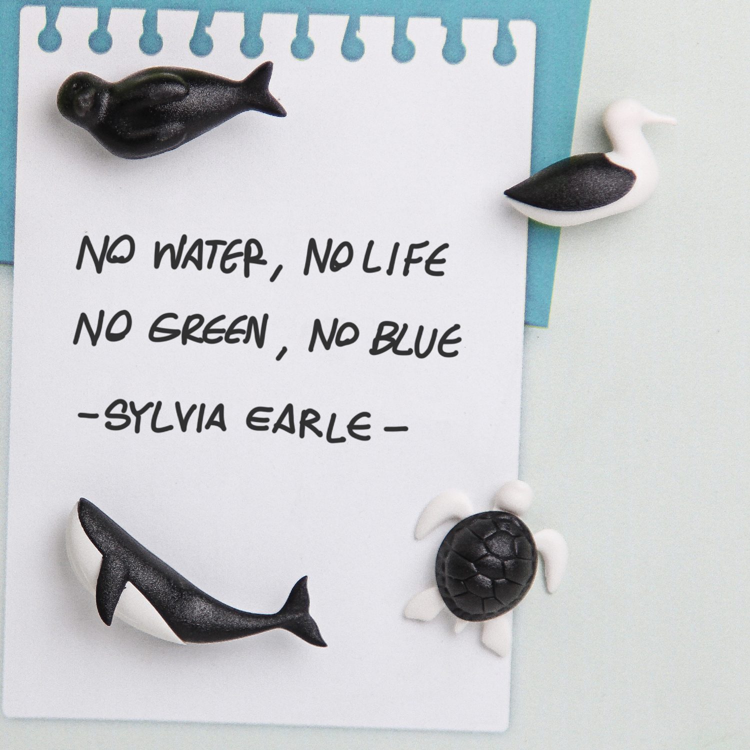Save The Ocean Magneten (Set Van 6) - Qualy