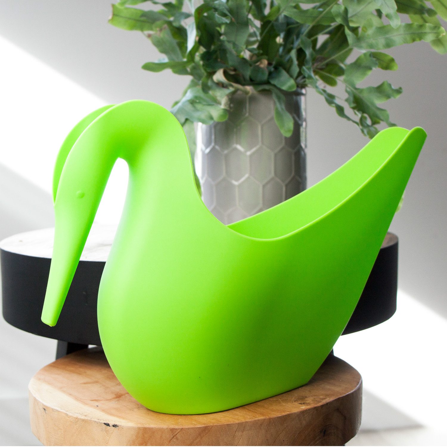 Zwaan Gieter - Groen - Qualy