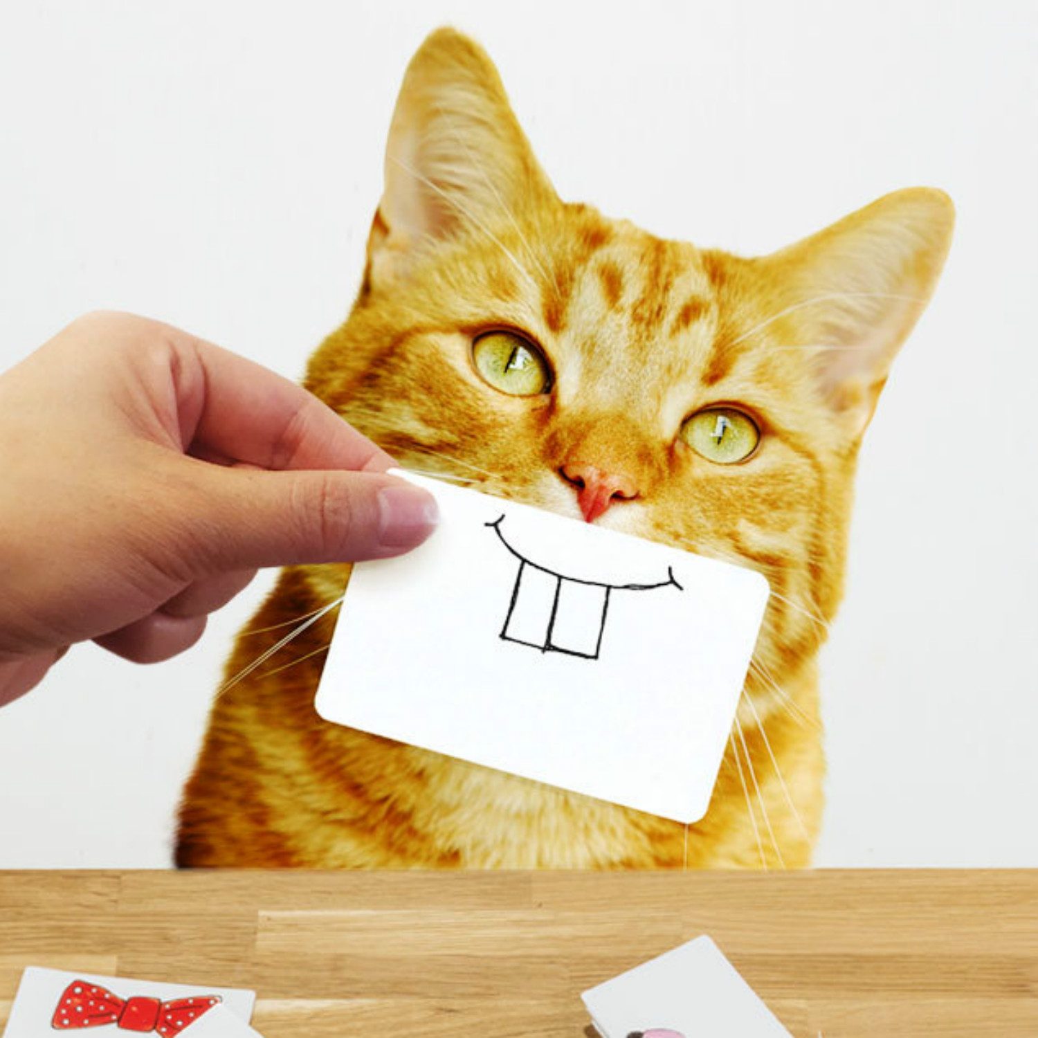 Cat Snaps - Suck UK
