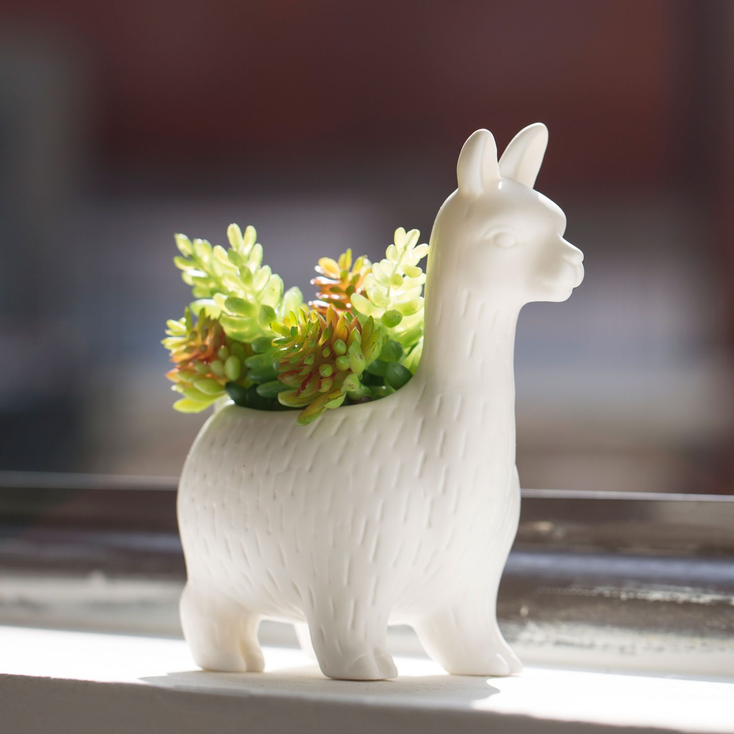 Lama Bloempot - Kikkerland
