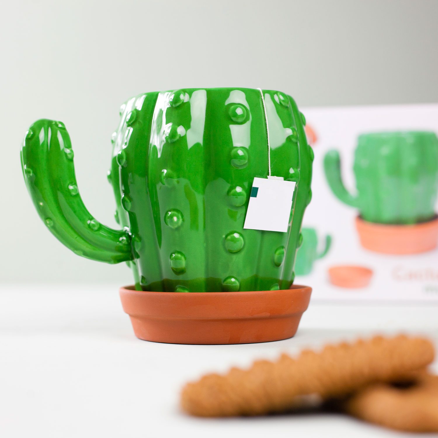 Cactus Mok - Balvi
