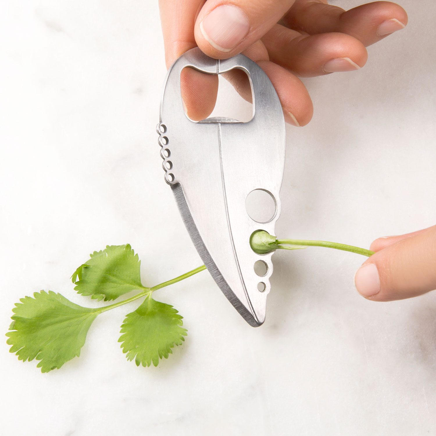 Kruiden Multitool - Kikkerland