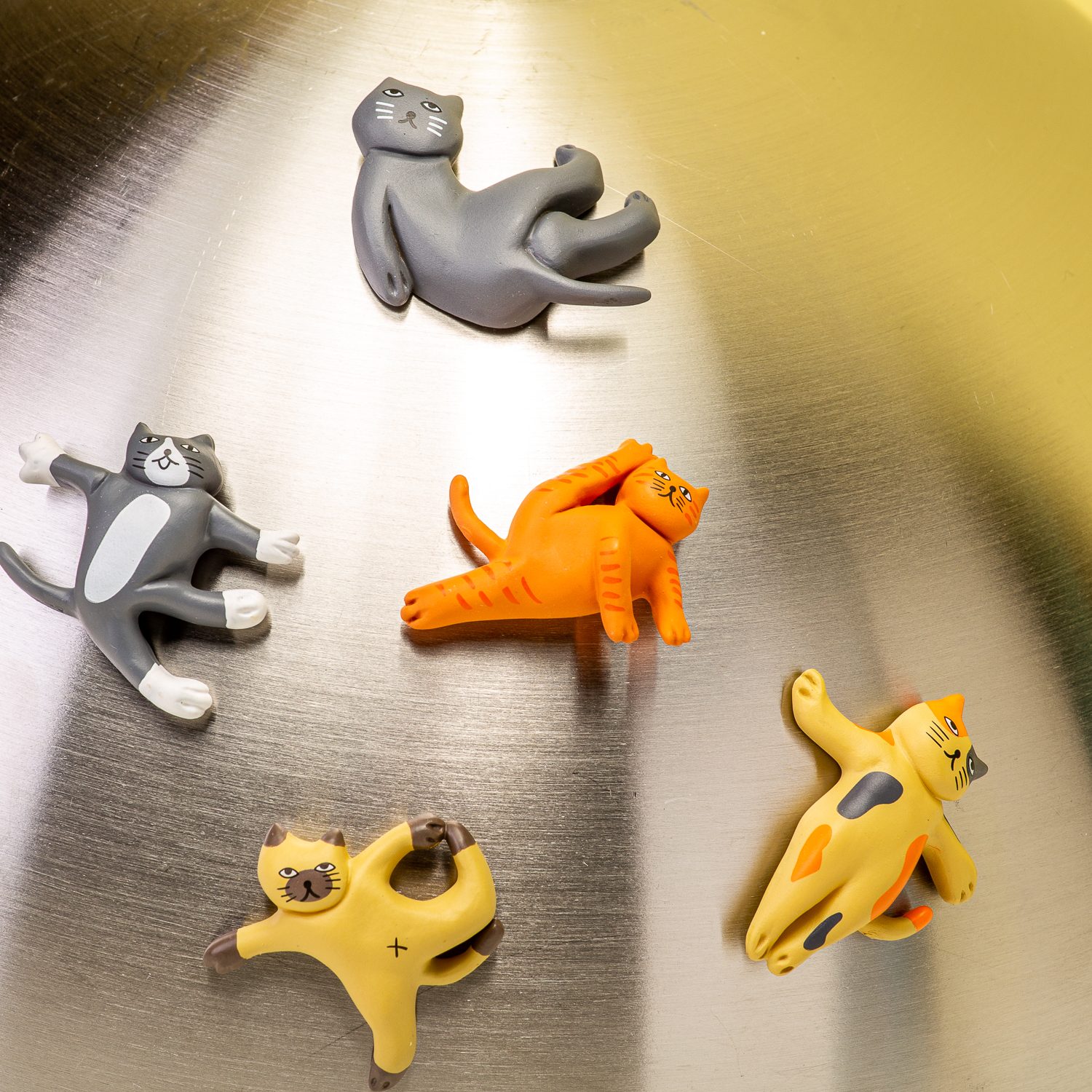 Cat Yoga Magneten (Set Van 5) - Kikkerland