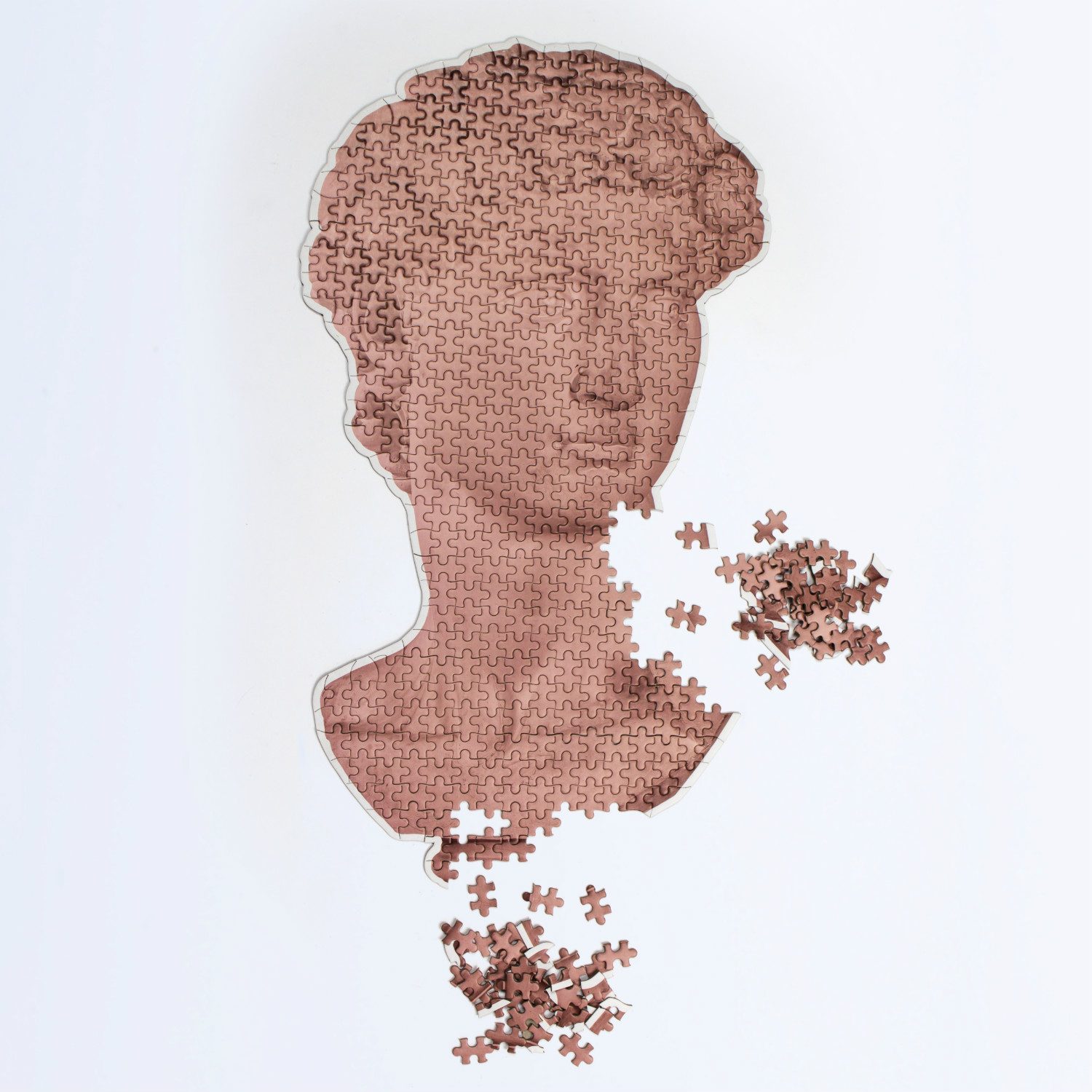 Slow Puzzle - David - DOIY