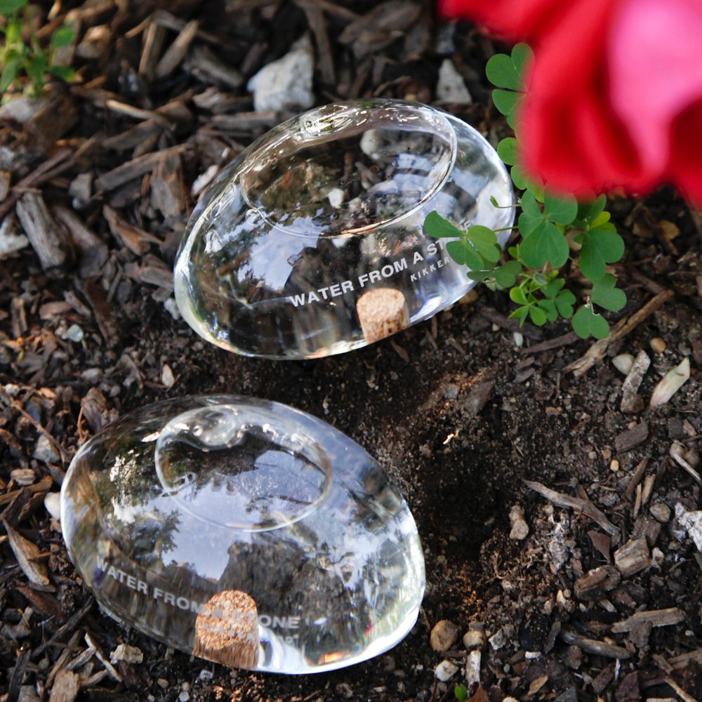 Bewateringsstenen Van Glas (Set Van 2) - Kikkerland