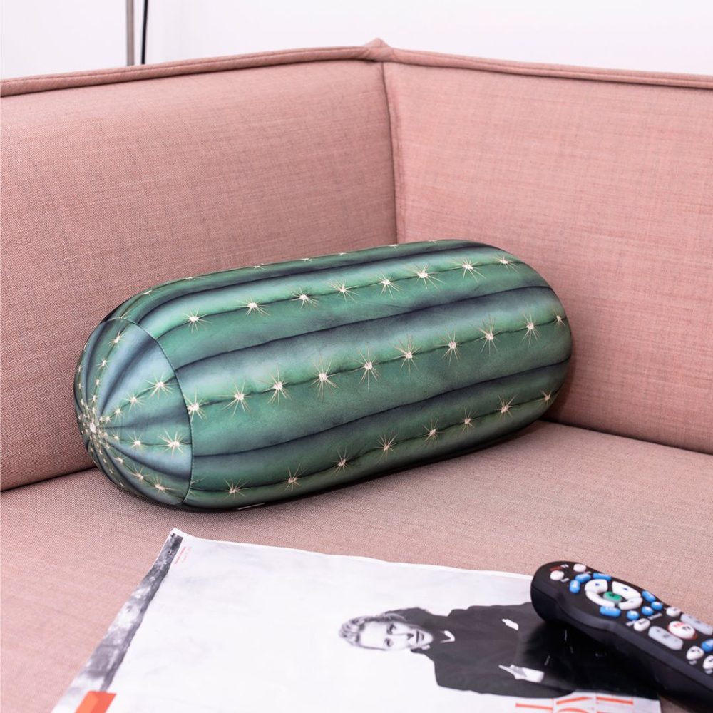 Cactus Kussen - Kikkerland