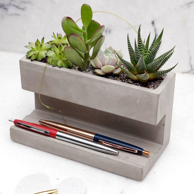Desktop Planter - Groot - Kikkerland