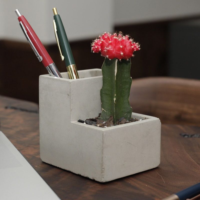 Desktop Planter - Klein - Kikkerland