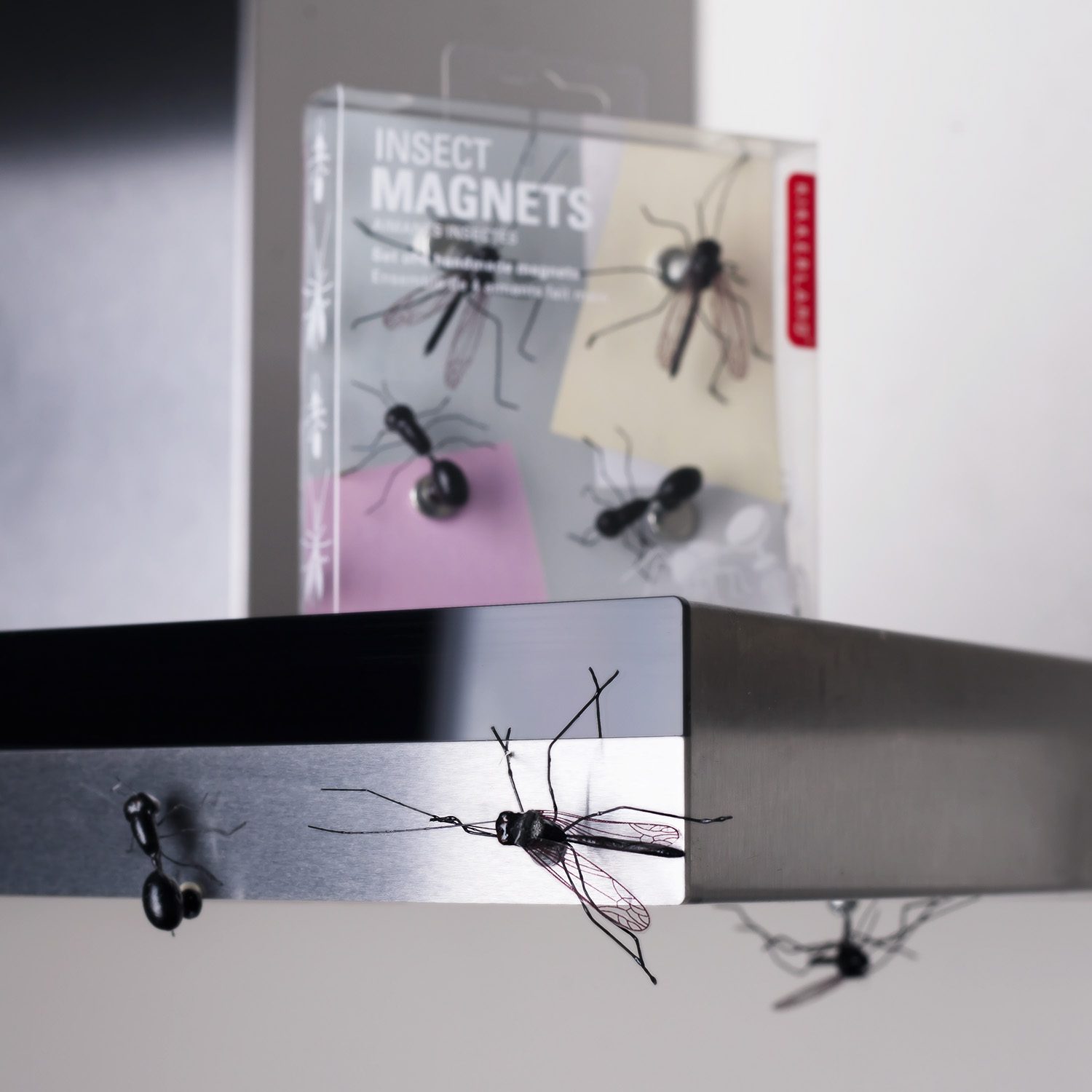 Insect Magneten (Set Van 4) - Kikkerland