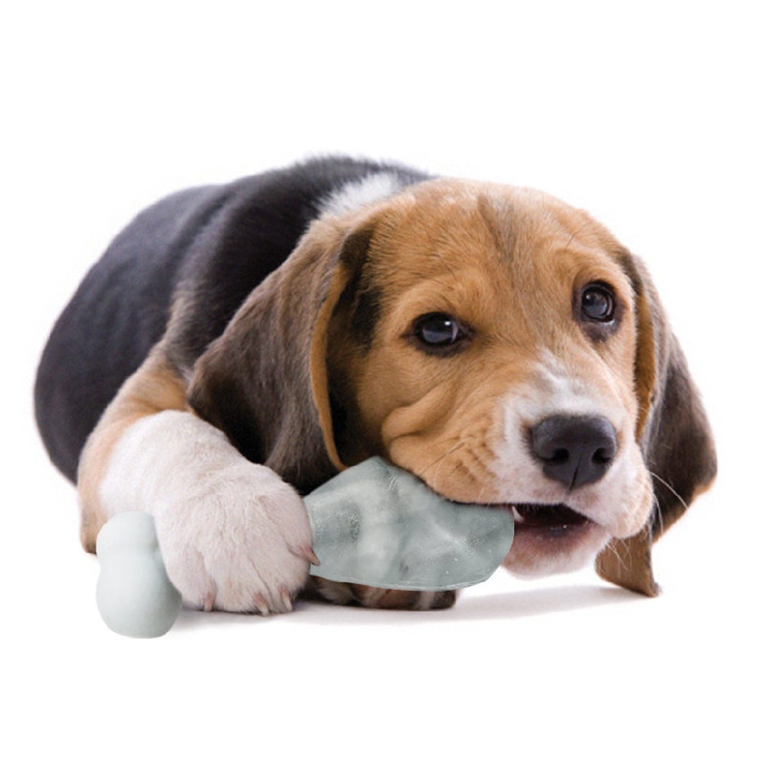 Pupsicle Ijsvorm Voor Hondenijsjes - Suck UK