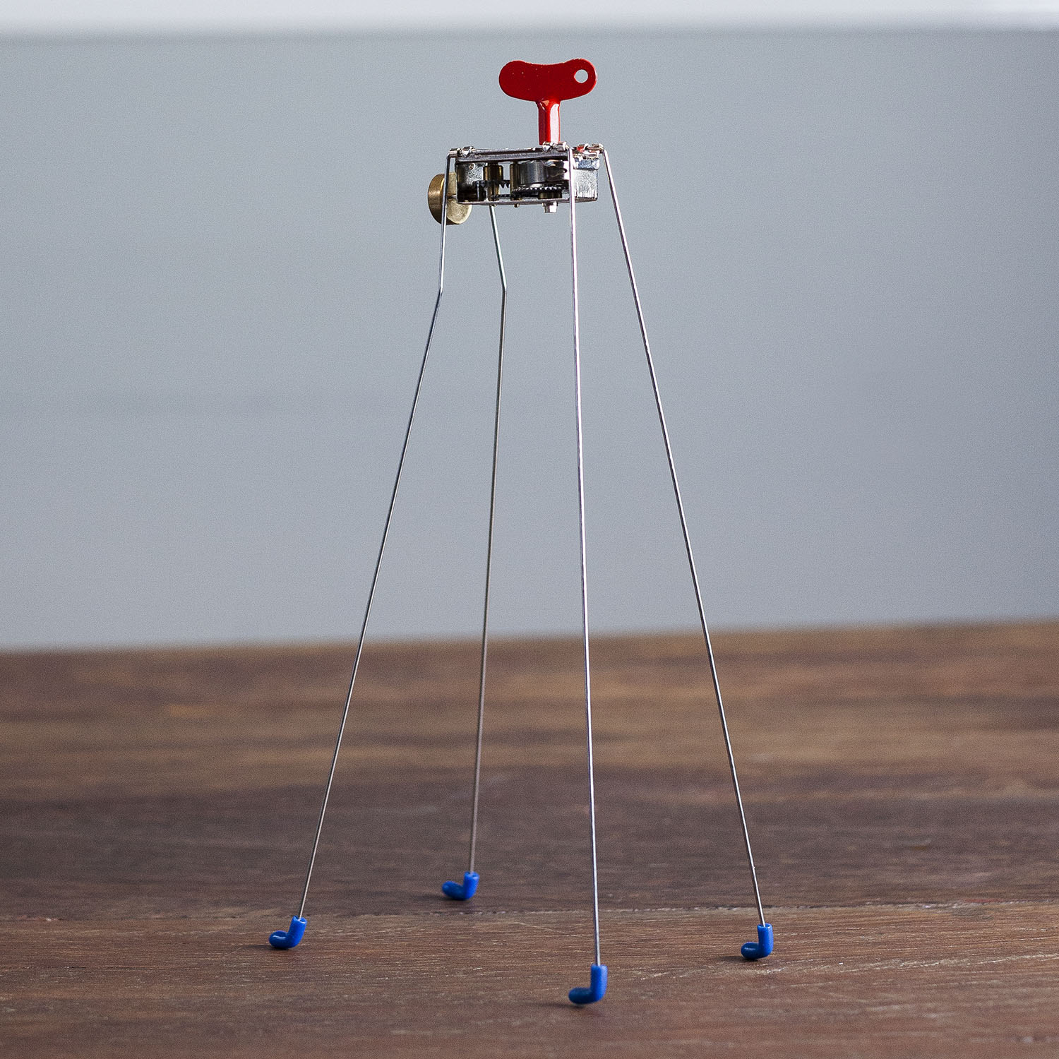 Wind Up - Critter - Kikkerland