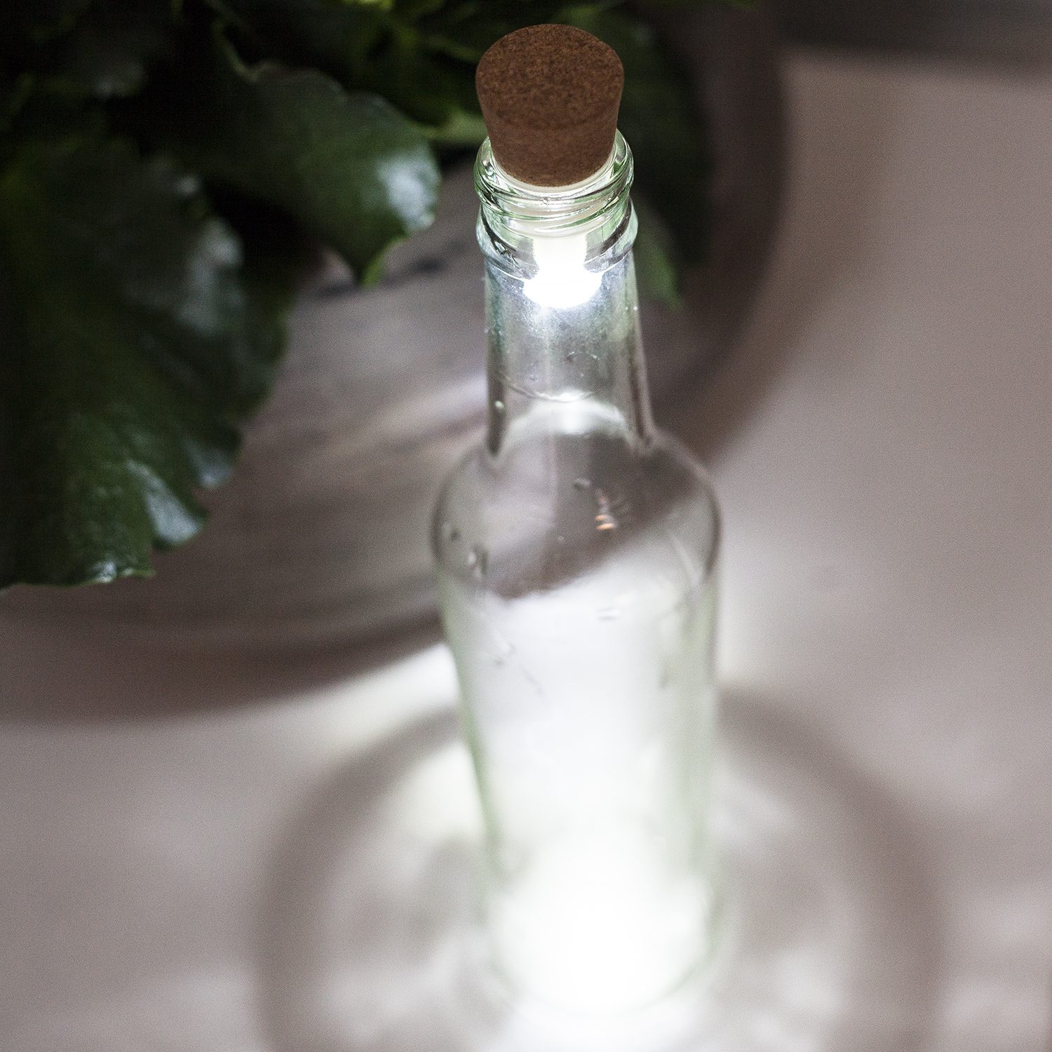 Bottlelight - Wit Licht - Suck UK