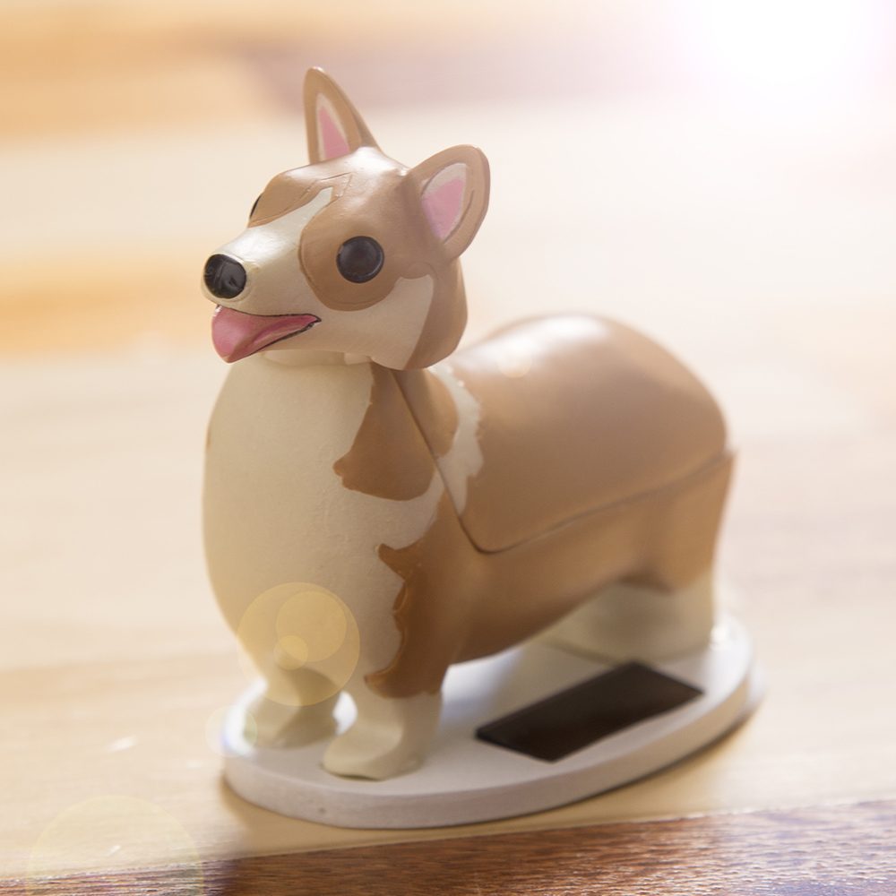 Hondje Op Zonne-Energie - Welsh Corgi - Kikkerland